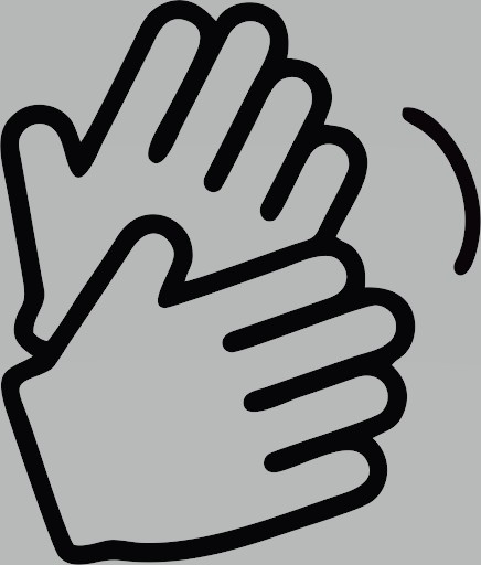 Informacija gestų kalba